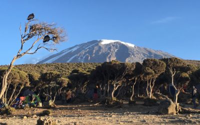 What I Learned Climbing Mt. Kilimanjaro